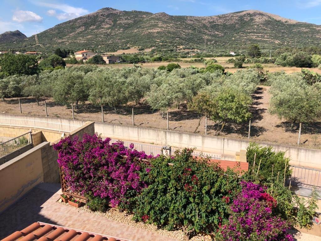 B&B Il Mirto Bianco San Giovanni Suèrgiu Eksteriør billede
